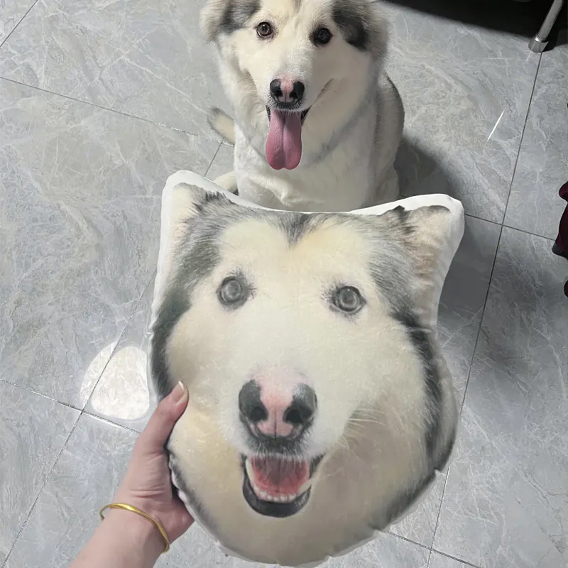 Shaped Pillow
